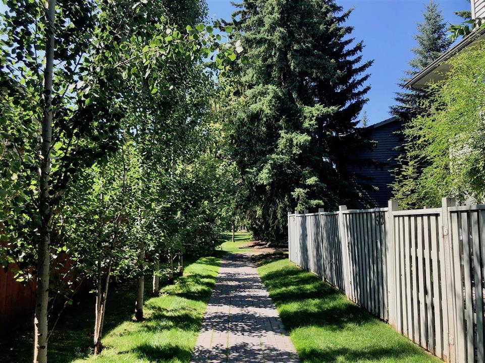 Pathway